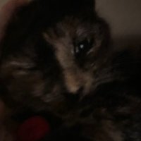 BLOOM (@blo_omana) 's Twitter Profile Photo BLOOM (@blo_omana) 's Twitter Profile Photo