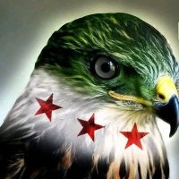 Hassan Alwade (@alwadehasa38708) 's Twitter Profile