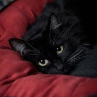 Sam (@se30ll) Twitter profile photo