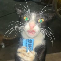 Nando.444 (@nando61579737) 's Twitter Profile