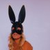 shootingbunnys (@shootingbunnys) Twitter profile photo shootingbunnys (@shootingbunnys) Twitter profile photo