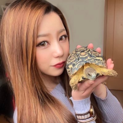 sunreptiles0309's profile picture. my familys 𓆙 👨‍👩‍👦‍👦👶 ＋ ペット達のためのmy house🏠リクガメ、ハコガメ、ニオイガメ、ドロガメ、ヌマガメ、ヘビ、トカゲ、レオパ、大型魚、鳥etc