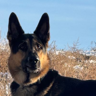 ThisIllDefend13's profile picture. Veteran of Iraq, Afghanistan, and Amazon.  Author of dystopian fiction, science fiction, and Arthur C. Clarke’s 3rd law style fantasy.