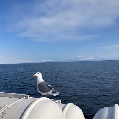 本と旅が好きです。システム面に不慣れで今の所は無言フォローで失礼しております。当面はROM専です。「本好き」関連中心に楽しませていただいてます。