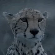 lagorita's profile picture. 