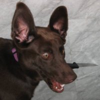 fearless π¦
(@runitupwitme) 's Twitter Profile