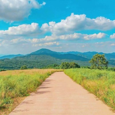 hengin's profile picture. Life is like a box of chocolates, you never know what you're gonna get.