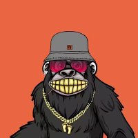 HodlXpert (@hodlxpert) 's Twitter Profile