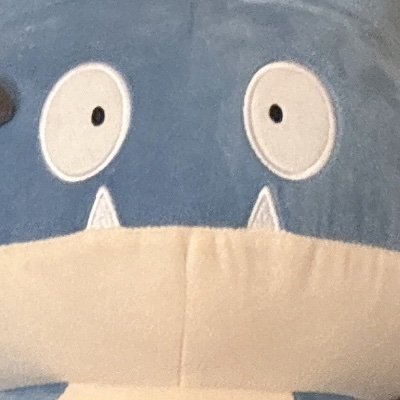 中尉とオバと🌵に気が狂っている 成人済み女性です