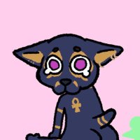 Sully (@sully_is_jackal) 's Twitter Profile Photo Sully (@sully_is_jackal) 's Twitter Profile Photo