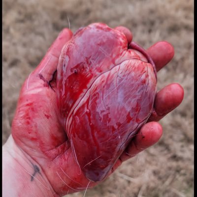JackagePackage's profile picture. Anti trans. Anti Islam. Anti socialist. 1A2A3P. Back the uncorrupted blue. Make the gallows swing again. #MAGA ✊