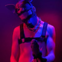 Pup Flake 🔜GnD Bochum (@flake_pup) 's Twitter Profile
