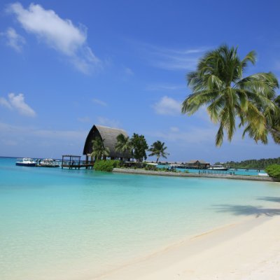 muxing88888's profile picture. 