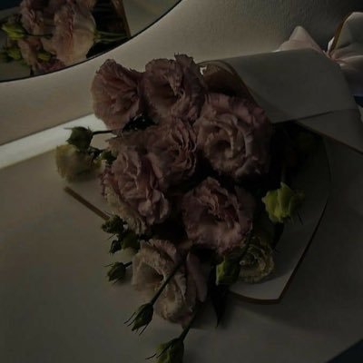 n_oh1a's profile picture. ترَكِت لكُم التشابـهَ ، واختَلفت🤎.