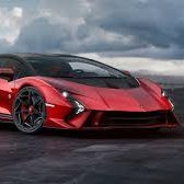 protraders186's profile picture. options trader