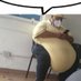 Morb Ius (@iusmorb2) Twitter profile photo Morb Ius (@iusmorb2) Twitter profile photo