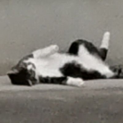 matosub6's profile picture. アイコンは道端に落ちてた見知らぬ𓃠さん。日常とオタク。🍙 🤍🎀 🎀🐾  イラスト等 @onagi_mato