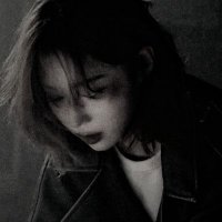 Harper (@vercease) 's Twitter Profile Photo