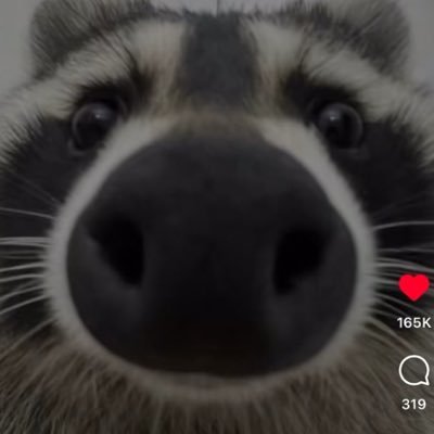 Chad91928932712's profile picture. 