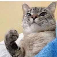 🎯Edd | NFG (@eduardo83858504) 's Twitter Profile