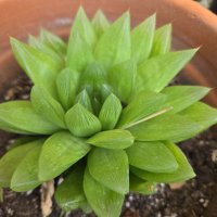 Marguerite Vu (@marguerite_vu) 's Twitter Profile Photo