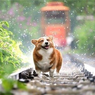 お金の悩み解決術や副業情報など共有したりしています。自身がお金に苦労した経験からお金に苦しんでいる方の力になれればと思い、わずかですが現金配布企画を実施中♬ 詳しくはこちらから▷ https://t.co/P9ZyoLFGAN