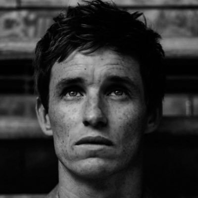 Celebrating the talent, beauty and quirky charm of Oscar-winning actor Edward John David Redmayne