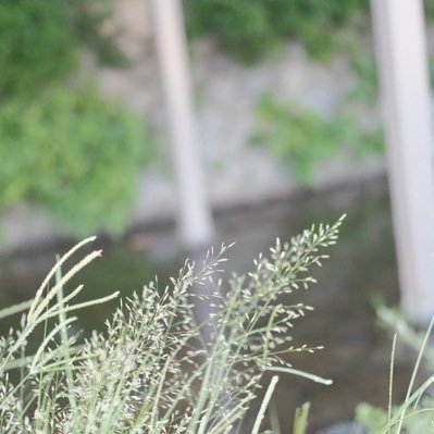 konbiniuncle's profile picture. 