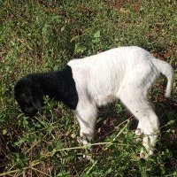 Kimzltd (@kevinrutto_02) 's Twitter Profile