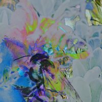 kand (@kandyoki) 's Twitter Profile