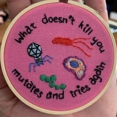 Isoke85's profile picture. Looking for greener pastures.