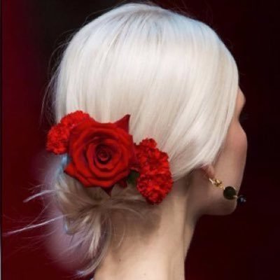 shamanhealer's profile picture. Shhh! (still praying for a Hail Mary miracle)
