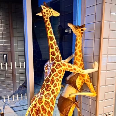 kimi_ga_irega's profile picture. 格闘技最高