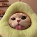 Crusted (@crustycorgii) Twitter profile photo Crusted (@crustycorgii) Twitter profile photo
