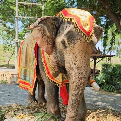 wavelab11's profile picture. เป็นคนง่ายๆสบายๆ