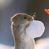 ✿ܓ (@myfairytalebook) Twitter profile photo
