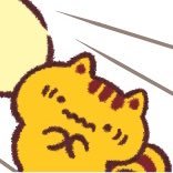 mi219n's profile picture. 🗓️脂肪吸引(頬ジョール)歯列矯正