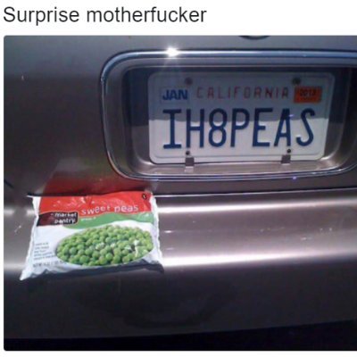 dia_de_la_torta's profile picture. he/him/bisexual/seattle

this profile: communism, baseball and cricket