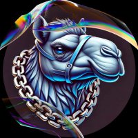 Camel SOL (@camelsoi) 's Twitter Profile