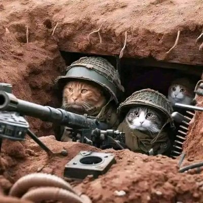 leesin941's profile picture. Meme forever