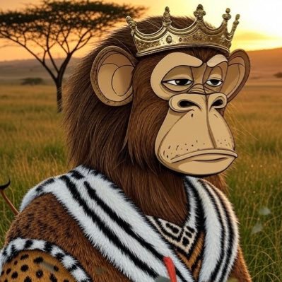 BOREDZULU's profile picture. crypto degen / @polymarket trader from South Africa 🚀