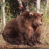 SF Supervisor District 13 (@michaelrennecke) 's Twitter Profile