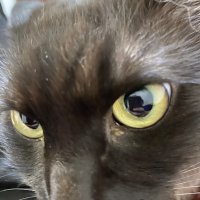 いおん (@ntl8lmrrou81759) 's Twitter Profile