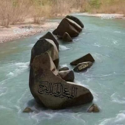 پویش جهانی نماز استغاثه به امام زمان.عج. برای ظهور
🌹الـٰلّهُمَ؏َجــِّلِلوَلــیِّڪَ الفرج
دبیر دین و زندگی ، دبیرستان
۱۴۰۳/۸/۱