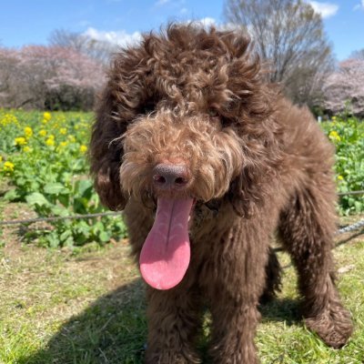 hamu8877's profile picture. 新規事業開拓