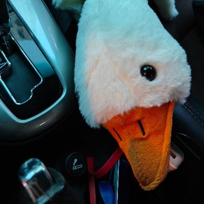 ddddcccclo's profile picture. 