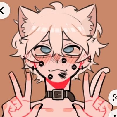 TomKupper37453's profile picture. 