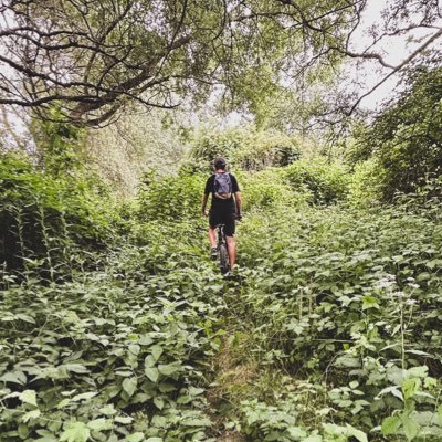 DoceaDavid's profile picture. 