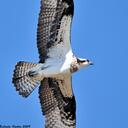 Dan Stein - @dan97394 - Twitter