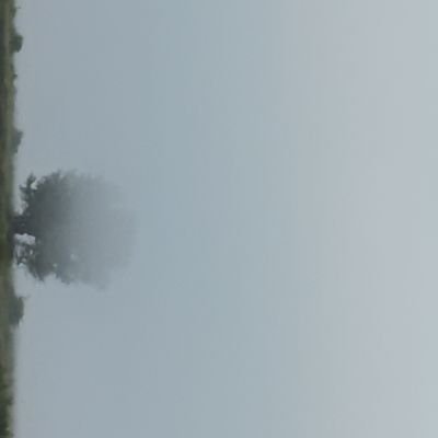 Ashok20129522's profile picture. #